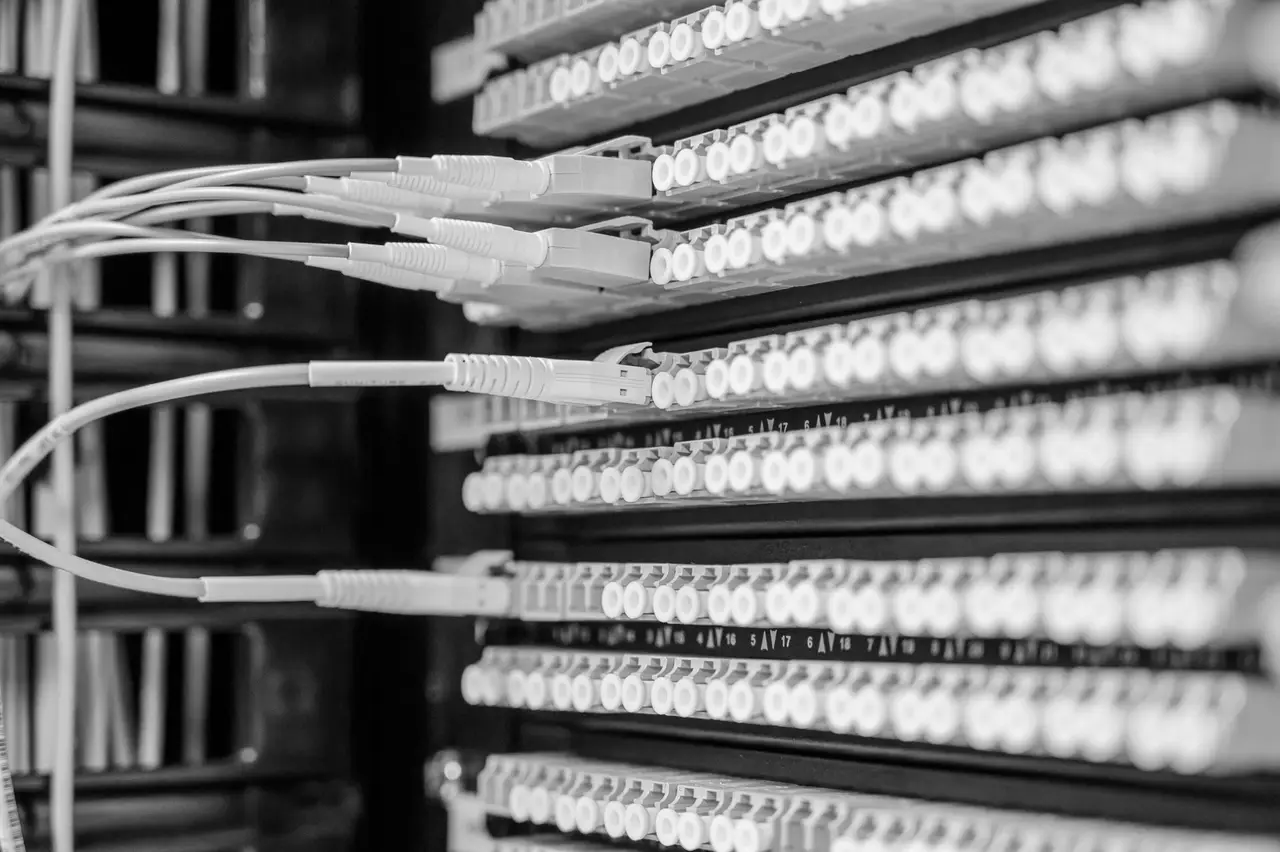 Cabos de rede conectados a um patch panel